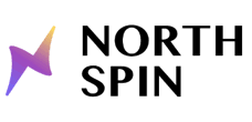 northspin logo
